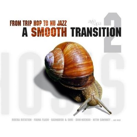 From Trip Hop To Nu Jazz, 2 CDs