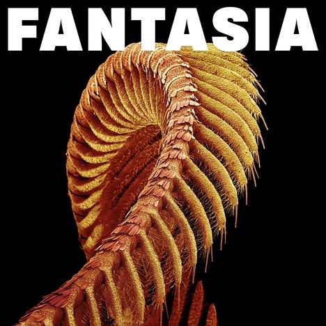Text: "FANTASIA". Darstellung einer spiralförmigen, texturierten Struktur in Orange- und Brauntönen auf schwarzem Hintergrund.