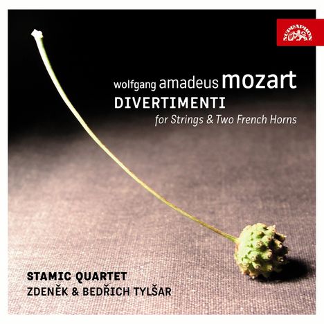 Wolfgang Amadeus Mozart (1756-1791): Divertimenti KV 247,287,334, 2 CDs