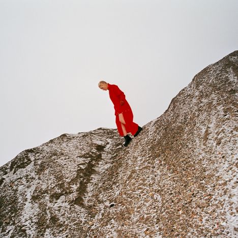 Cate Le Bon: Reward, LP