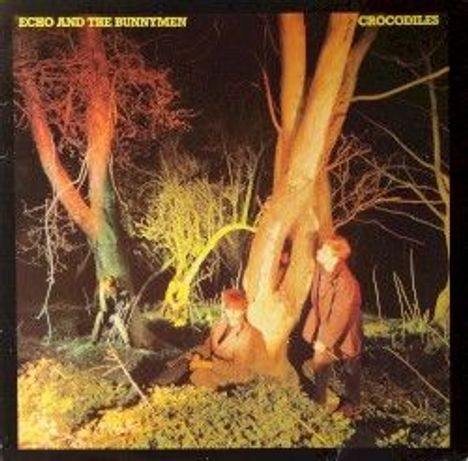 Echo &amp; The Bunnymen: Crocodiles (remastered) (180g), LP