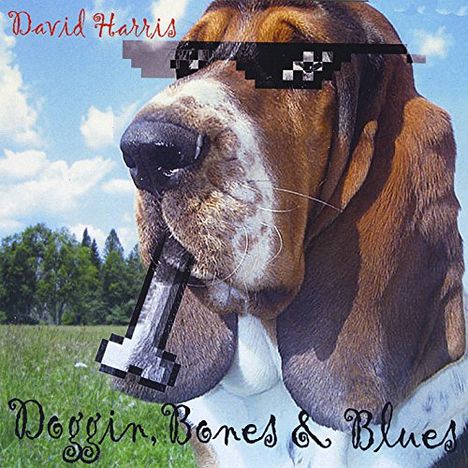 David Harris: Doggin' Bones &amp; Blues, CD