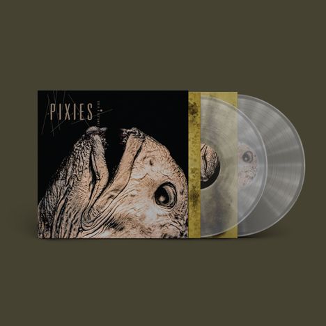 Text: "PIXIES." Ein Vinylalbum zeigt das Profil eines Tierkopfes. Zwei transparente Schallplatten ragen seitlich heraus.