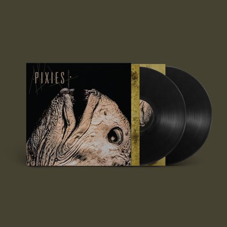 "PIXIES" steht in weißen Buchstaben über einem abstrakten Bild. Zwei schwarze Schallplatten sind teilweise sichtbar.