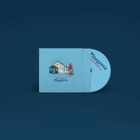 Pinegrove: Amperland Sessions, CD