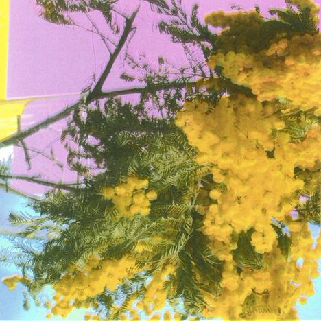 Four Tet: Into The Dust (Still Falling), Single 12"
