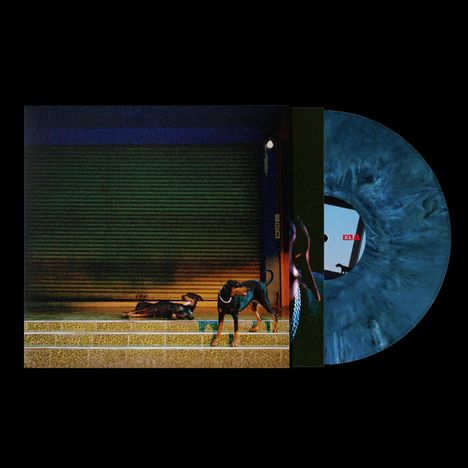 XL • A. Ein Vinyl in Blau, daneben ein Foto von zwei Hunden vor einem geschlossenen grünen Rollladen.