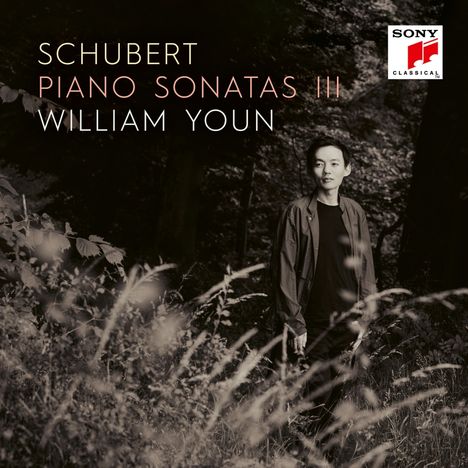 Franz Schubert (1797-1828): Klaviersonaten Vol.3, 3 CDs