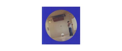 Harry Styles: Harry's House (Limited Edition) (Picture Disc), LP