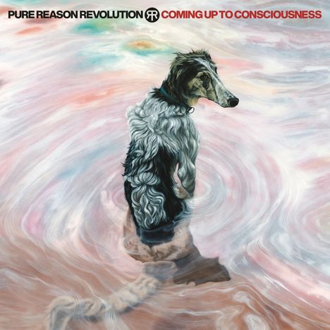 Pure Reason Revolution: Coming Up To Consciousness, 2 CDs