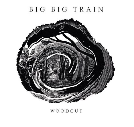 Text: "BIG BIG TRAIN" oben, "WOODCUT" unten. Illustration eines Waldes in einem Baumring in Schwarz-Weiß.
