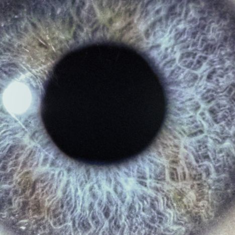 Keine Texte vorhanden. Nahaufnahme einer detaillierten menschlichen Iris in Blau- und Grautönen.