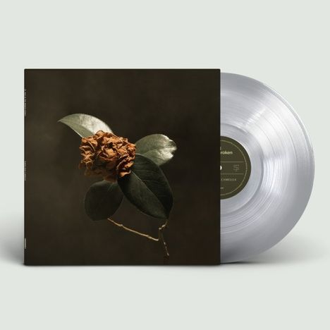 St. Paul & The Broken Bones: Young Sick Camellia, LP