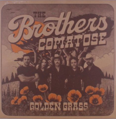 "The Brothers Comatose" oben, "Golden Grass" unten. Fünf Personen stehen vor einem Baum, umgeben von orangen Blumen.