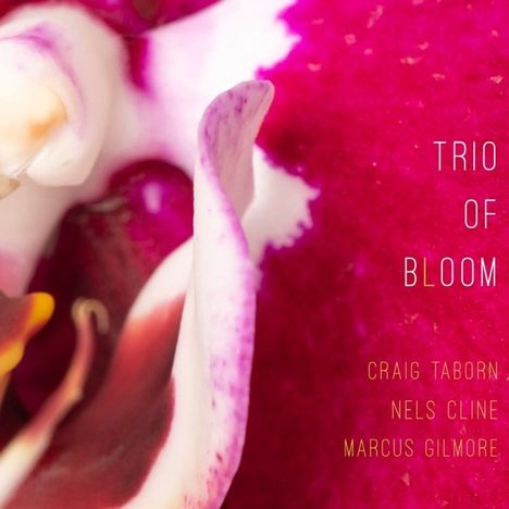 Trio of Bloom: Trio of Bloom, CD