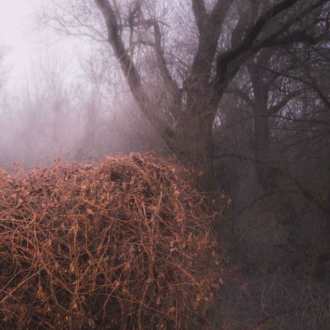 The Devil's Trade: Nincs Szennyezetlen Szép (Ltd Your Pieces Scattered LP), LP