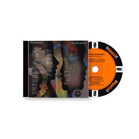 Texte: "Irreversible Entanglements", "Future", "Present", "Past". Cover: Profile von Gesichtern in verschiedenen Farben.