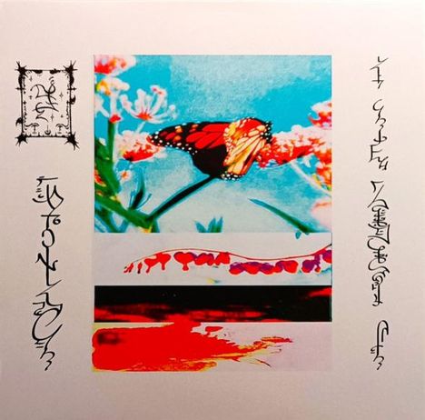 Vertikale, dekorative kalligraphische Texte umrahmen ein farbenfrohes Bild mit einem Schmetterling auf Blüten.