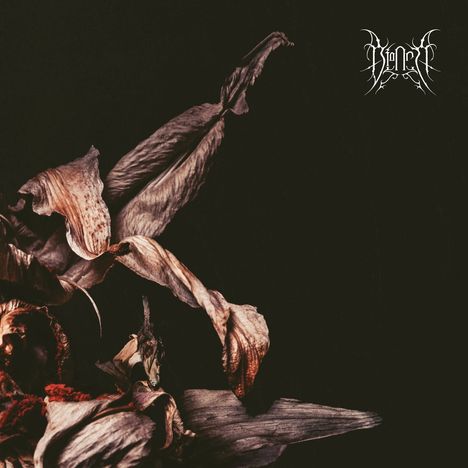 Logo-ähnlicher Text oben rechts. Links unten trockene, verwelkte Blätter in dunklem, kunstvollem Stil.