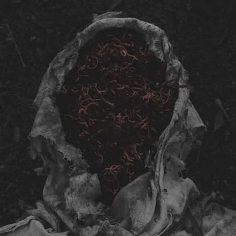 Keine erkennbaren Texte. Stoffhülle umhüllt ein Gesicht, das aus vielen roten Würmern besteht.