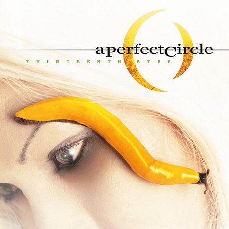 A Perfect Circle: Thirteenth Step (180g), 2 LPs