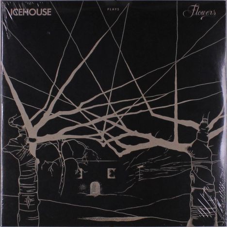 Icehouse: Plays Flowers: Live, 2 LPs