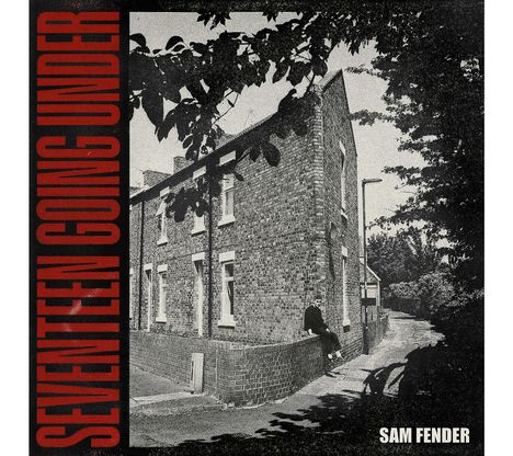 Sam Fender: Seventeen Going Under (180g), LP