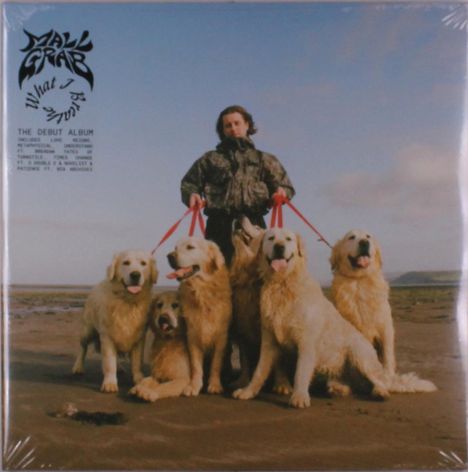 „THE DEBUT ALBUM“ gefolgt von sechs Hunden an roten Leinen, geführt von einer Person in Tarnjacke am Strand.