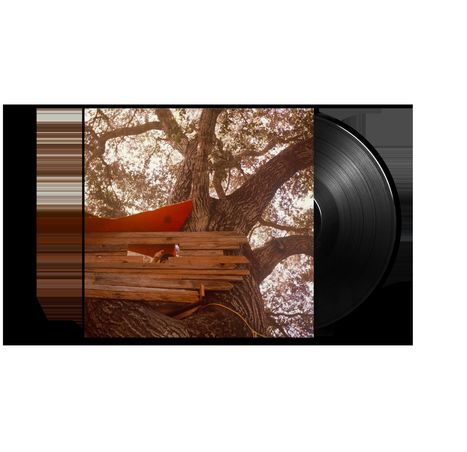 Backseat Lovers: Waiting To Spill (180g), LP