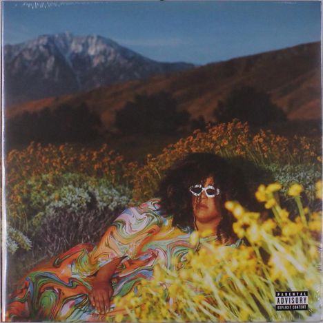 Brittany Howard: What Now (Yellow Translucent Vinyl), LP