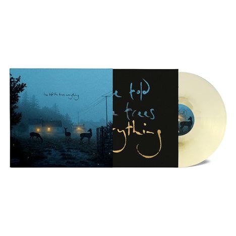 Dermot Kennedy: I've Told The Trees Everything, Single 12"