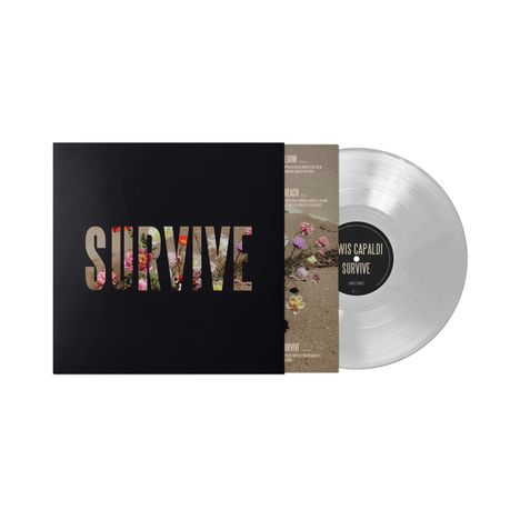 Cover/Produkt Ansicht vergrößern