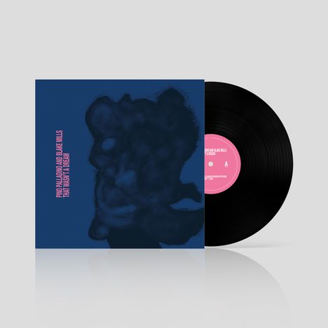 Pino Palladino & Blake Mills: That Wasn't A Dream, LP