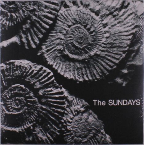 "The SUNDAYS" in weißer Schrift. Fossile Ammoniten in schwarz-weiß als Hintergrund.