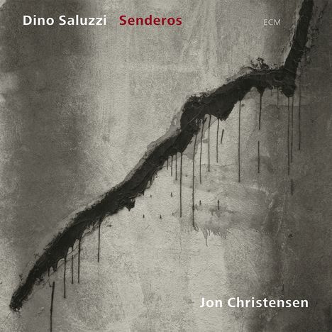 Dino Saluzzi (geb. 1935): Senderos, CD