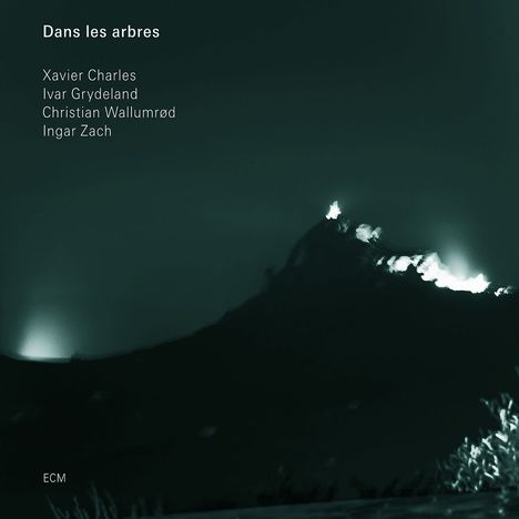 Xavier Charles, Ivar Grydeland, Christian Wallumrod &amp; Ingar Zach: Dans Les Arbres, CD