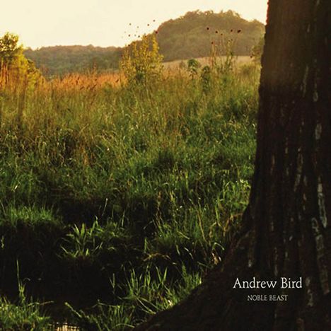 Andrew Bird (geb. 1973): Noble Beast, CD