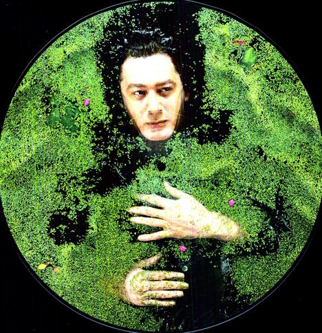 Alain Bashung: Fantaisie militaire, LP