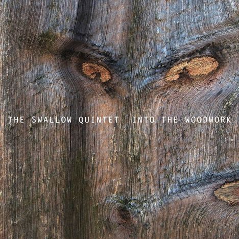 Steve Swallow (geb. 1940): Into The Woodwork, CD