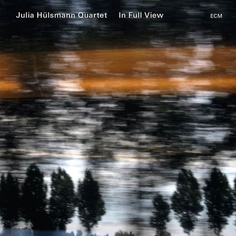 Julia Hülsmann (geb. 1968): In Full View, CD