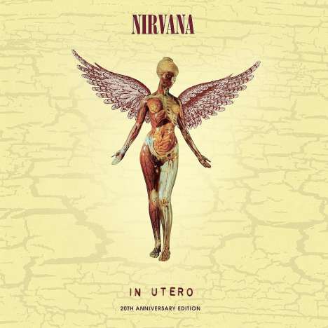 Nirvana: In Utero - 20th Anniversary (180g) (Limited Super Deluxe Edition) (33/45 RPM), 3 LPs
