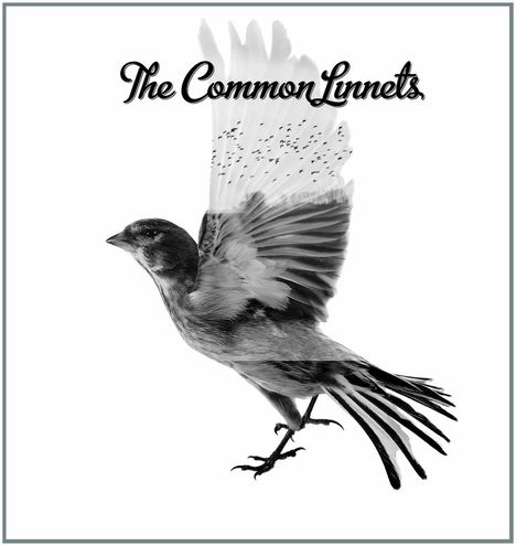 The Common Linnets (Ilse DeLange &amp; Waylon): Common Linnets (180g), LP