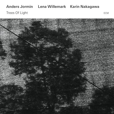 Anders Jormin, Lena Willemark &amp; Karin Nakagawa: Trees Of Light, CD