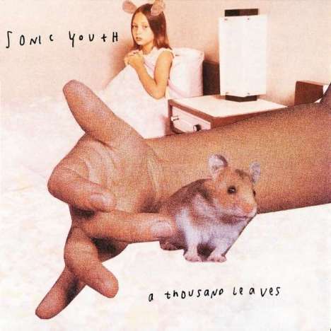 Sonic Youth: A Thousand Leaves (180g), 2 LPs