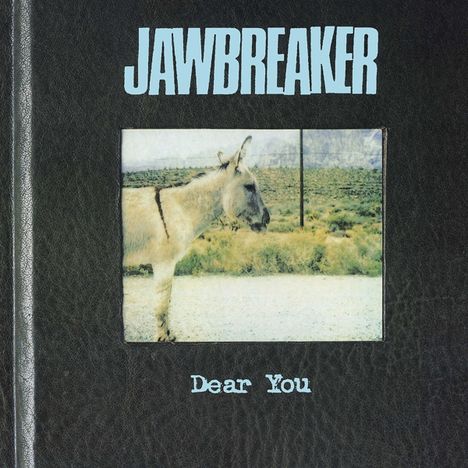 Jawbreaker: Dear You, LP