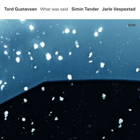 Tord Gustavsen, Simin Tander &amp; Jarle Vespestad: What Was Said (180g), 2 LPs