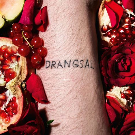 Drangsal: Harieschaim (Black Vinyl), LP