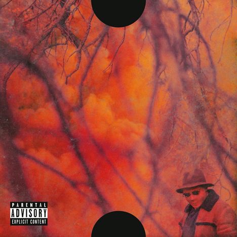 ScHoolboy Q: Blank Face (180g) (Limited-Edition) (Light Red Marbled Vinyl), 2 LPs