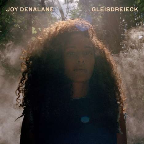 Joy Denalane: Gleisdreieck (180g), 2 LPs