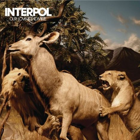 Interpol: Our Love To Admire (10th Anniversary), 1 CD und 1 DVD